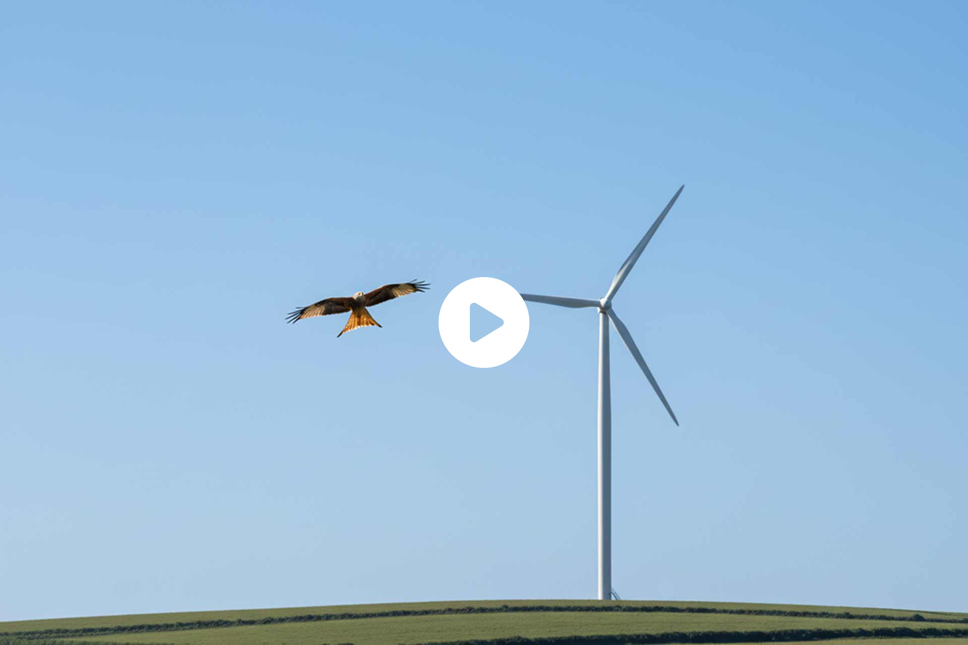 Gegenwind-Hochbuehl-Owingen-Bodensee-Windkraft-Überlingen-Kundgebung-Februar-2026-2092px Gegenwind Hochbuehl Owingen Bodensee Windrad Rotmilan 2 01