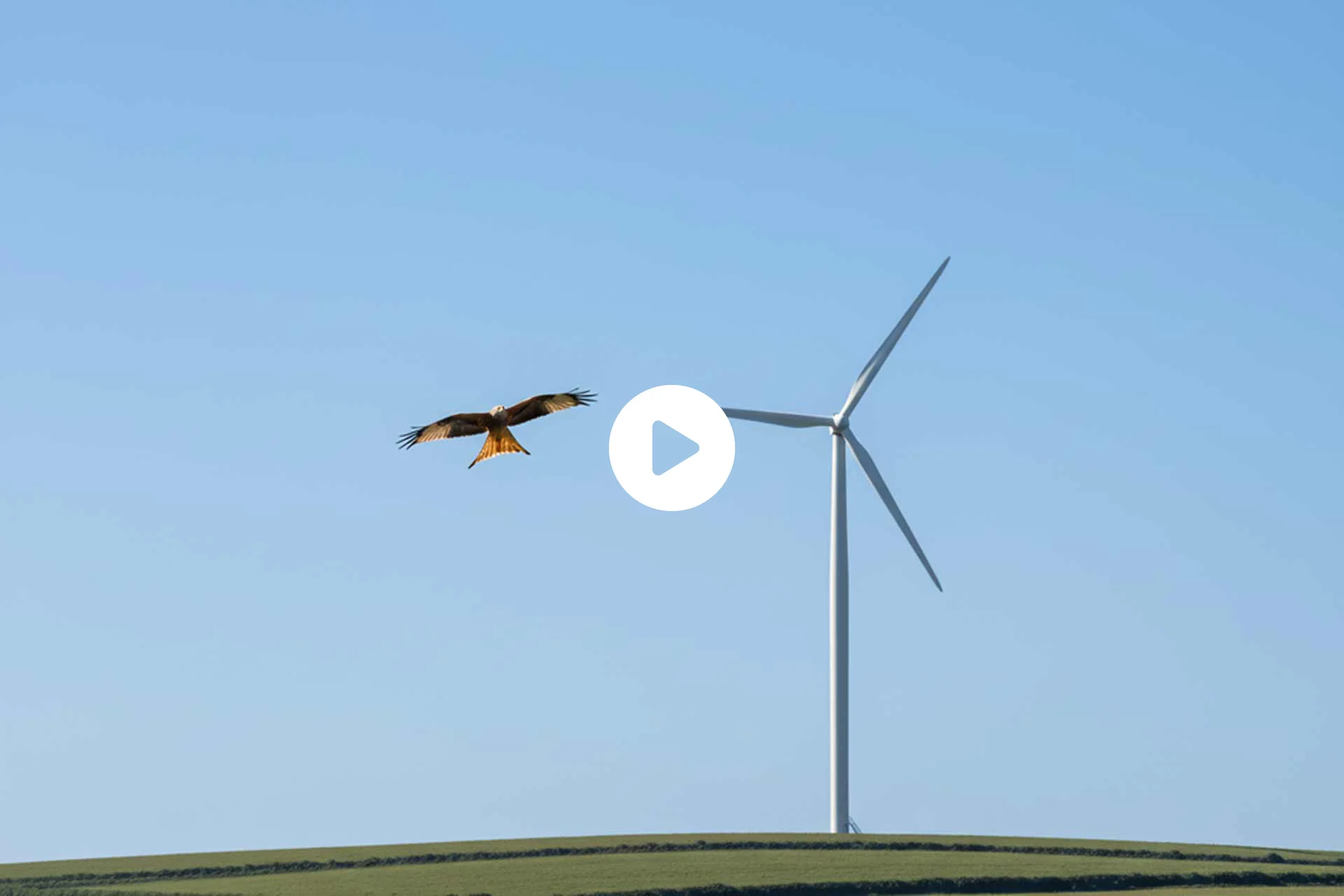 ZDF – Streitfall Windenergie