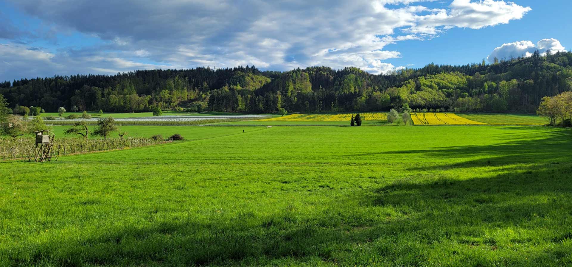 STELLUNGNAHME ZUM ZWEITEN ENTWURF DES REGIONALPLANS – AUFRUF DES GEGENWIND HOCHBÜHL E.V. FINDET 587 Unterzeichner!